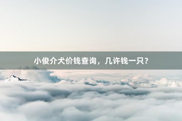 小俊介犬价钱查询,几许钱一只?
